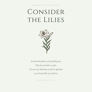 Consider the Lilies Matthew 6:28-29 Sermon on the Mount Scripture Print, vintage botanical white lily flower in sage green, christian wall art bible verse poster, aesthetic christian floral scripture, elegant bible print for living room nursery wedding gift, digital download printable christian decor