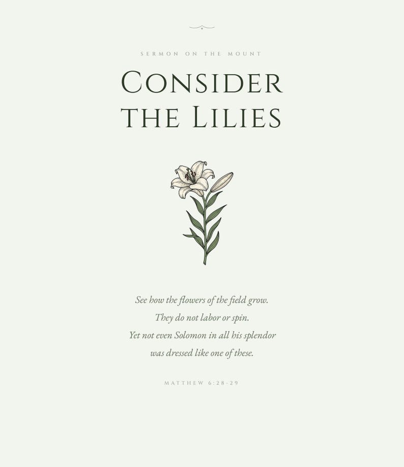 Consider the Lilies Matthew 6:28-29 Sermon on the Mount Scripture Print, vintage botanical white lily flower in sage green, christian wall art bible verse poster, aesthetic christian floral scripture, elegant bible print for living room nursery wedding gift, digital download printable christian decor