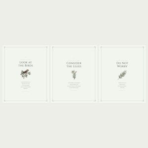 Matthew 6 Sermon on the Mount Set of 3 Scripture Prints showing all three designs flat lay with soft shadows, look at the birds consider the lilies do not worry, sage green christian wall art aesthetic floral scripture