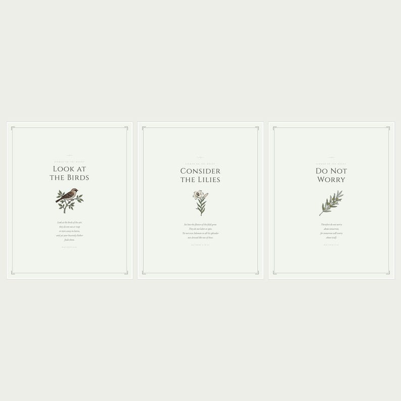 Matthew 6 Sermon on the Mount Set of 3 Scripture Prints showing all three designs flat lay with soft shadows, look at the birds consider the lilies do not worry, sage green christian wall art aesthetic floral scripture