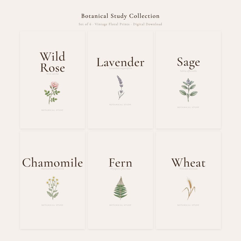 Christian Wall Art Bundle 25 Scripture Prints Bible Verse Printable Gallery Wall Set, in curated gallery wall collection of coordinated Christian scripture prints in matching aesthetic, hanging above a cozy bed in a peaceful bedroom setting, creating an inspiring and calming atmosphere for morning devotions and evening prayer