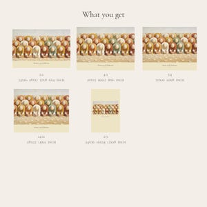 What you get overview for Manna in the Wilderness and Exodus 16:15. The digital purchase includes high-resolution JPEG artwork in 3:2, 4:3, 5:4, 14:11, and 2:3 portrait formats, plus a PDF size guide. The layout previews the horizontal and portrait options so buyers can match the correct file to a chosen frame.