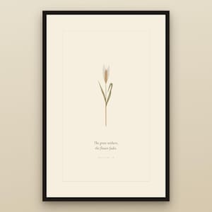 Isaiah 40:8 the grass withers the flower fades bible verse wall art in black gallery frame against cream textured wall. Vintage botanical wheat illustration with modern christian scripture typography. Part of wildflower bible verse wall art set of 6