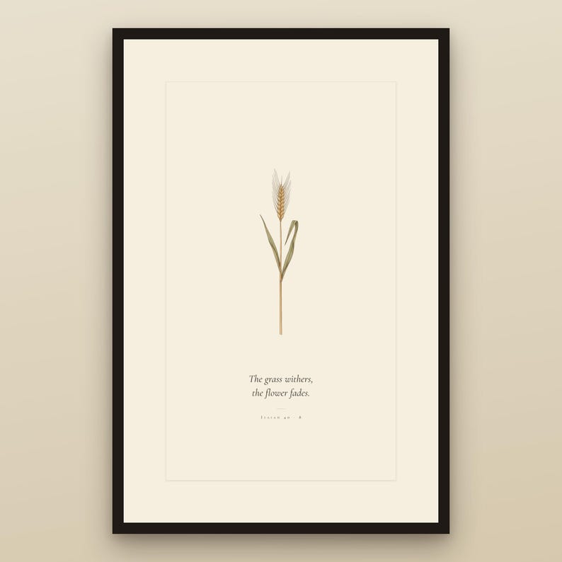 Isaiah 40:8 the grass withers the flower fades bible verse wall art in black gallery frame against cream textured wall. Vintage botanical wheat illustration with modern christian scripture typography. Part of wildflower bible verse wall art set of 6