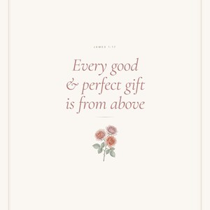Every Good and Perfect Gift James 1 17 Wall Art Coquette Christian Print Blush B — hero framed product shot with glass reflection and premium frame. This coquette bow, botanical, pink blush christian scripture wall art print features beautiful serif typography on warm cream background. James 1 17 bible verse digital download printable for home office bedroom living room gallery wall decor. Perf...