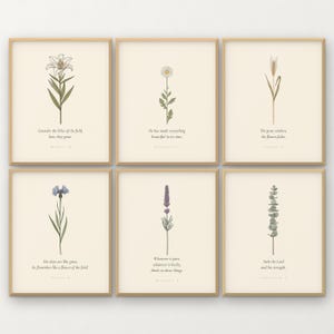 Wildflower Wall Art Set of 6, Consider the Lilies Scripture Prints, Botanical Bible Verse Gallery, Cottagecore Digital Download
