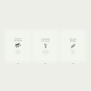 Matthew 6 Sermon on the Mount Set of 3 Scripture Prints showing all three designs labeled, birds lilies worry, sage green christian wall art bible verse aesthetic floral scripture vintage botanical