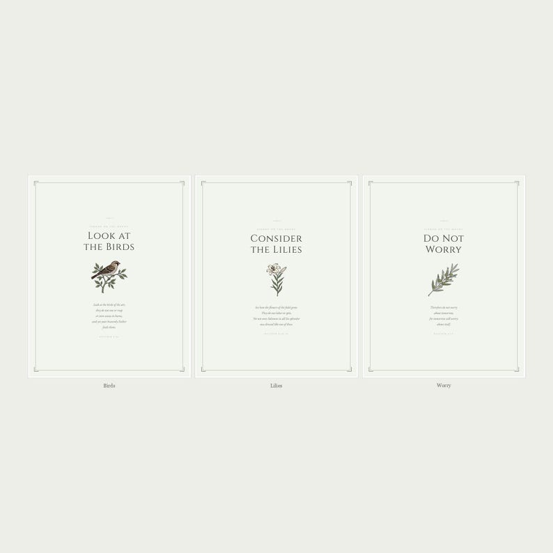 Matthew 6 Sermon on the Mount Set of 3 Scripture Prints showing all three designs labeled, birds lilies worry, sage green christian wall art bible verse aesthetic floral scripture vintage botanical