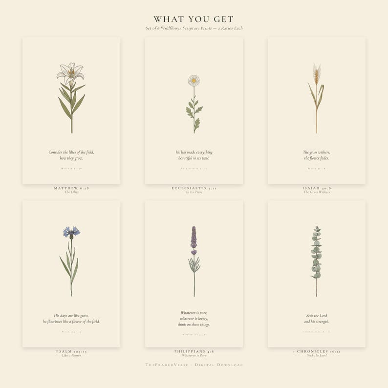 What you get: wildflower bible verse wall art set of 6 digital downloads including Matthew 6:28 lily, Ecclesiastes 3:11 daisy, Isaiah 40:8 wheat, Psalm 103:15 cornflower, Philippians 4:8 lavender, 1 Chronicles 16:11 eucalyptus. Each print at 300 DPI