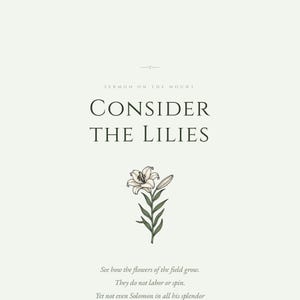 Consider the Lilies Matthew 6 28 close-up detail showing botanical white lily flower illustration, sermon on the mount scripture print, aesthetic christian floral scripture, sage green bible verse wall art