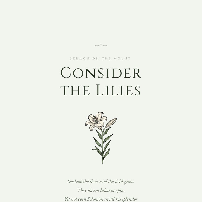 Consider the Lilies Matthew 6 28 close-up detail showing botanical white lily flower illustration, sermon on the mount scripture print, aesthetic christian floral scripture, sage green bible verse wall art