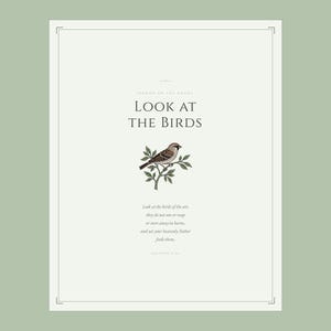 Look at the Birds Matthew 6 26 close-up design detail showing botanical sparrow on branch illustration in sage green, sermon on the mount scripture print bible verse aesthetic christian floral scripture