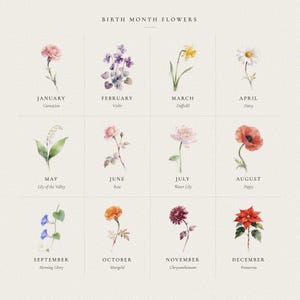 Watercolor chart of all twelve birth month flowers used in the personalized Christian family bouquet, with every botanical illustration labeled from January through December. Buyers can match each child or relative to the correct bloom before ordering. The chart explains how individual flowers come together around Psalm 127:3 in one custom family keepsake.