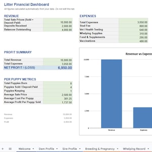 May include: A financial dashboard titled "Litter Financial Dashboard" displays revenue, expenses, and profit metrics. Key data includes total revenue, expenses, and net profit. Bar graph visualizes revenue versus expenses. Data is presented in a spreadsheet format.