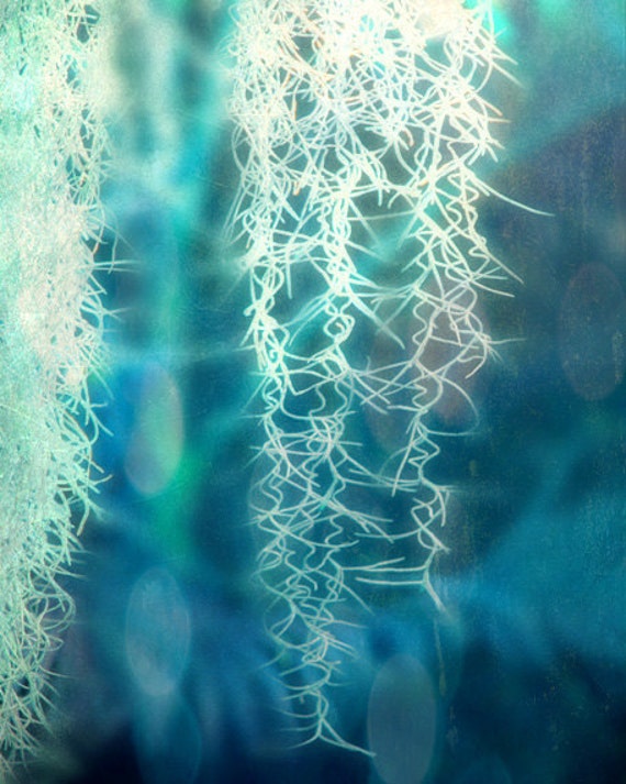 Spanish Moss Abstract Art Print Blue Teal Aqua Green Bokeh Etsy Spanish Moss Abstract Art Print Blue Teal Aqua Green Bokeh Etsy
