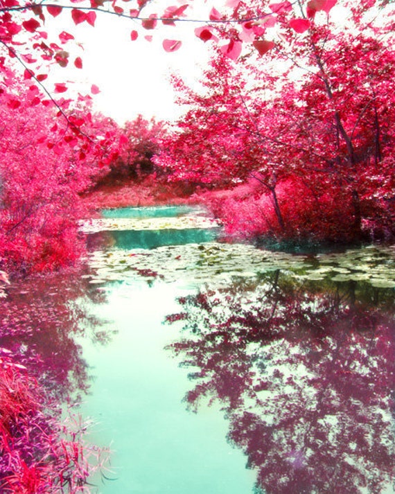 Pond Art Print Red Trees Fall Home Decor Wall Art Aqua Water Etsy