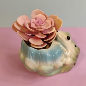 Könnte beinhalten: Ein keramikfroschförmiger Pflanztopf mit hellblauer und grüner Glasur. Der Topf enthält eine künstliche Sukkulente mit rosa- und pfirsichfarbenen Blütenblättern. Der Frosch hat schwarze Augen, vor rosa und blauem Hintergrund.