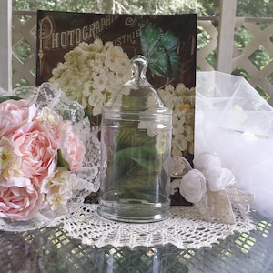 May include: A clear glass apothecary jar with a lid, set on a glass table. The jar is surrounded by pink roses, lace, and a decorative floral print. The background includes a blurred view of greenery.