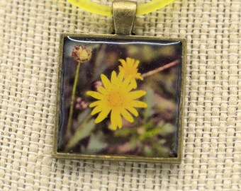 Photo Jewelry, Resin Pendant,  Daisies, Yellow, Green, 1 inch, Square