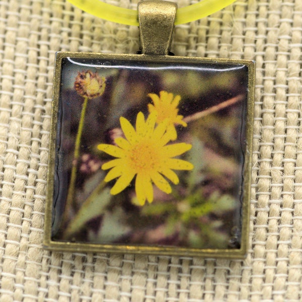 Photo Jewelry, Resin Pendant,  Daisies, Yellow, Green, 1 inch, Square