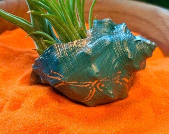 Relic Air Plant Holders