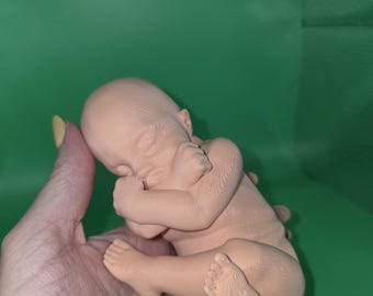 Modelo anatómico de feto: figura de embrión impresa en 3D para estudiantes de medicina y educación.
