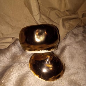 Handmade small pottery lidded pot with Pasler Gold glaze