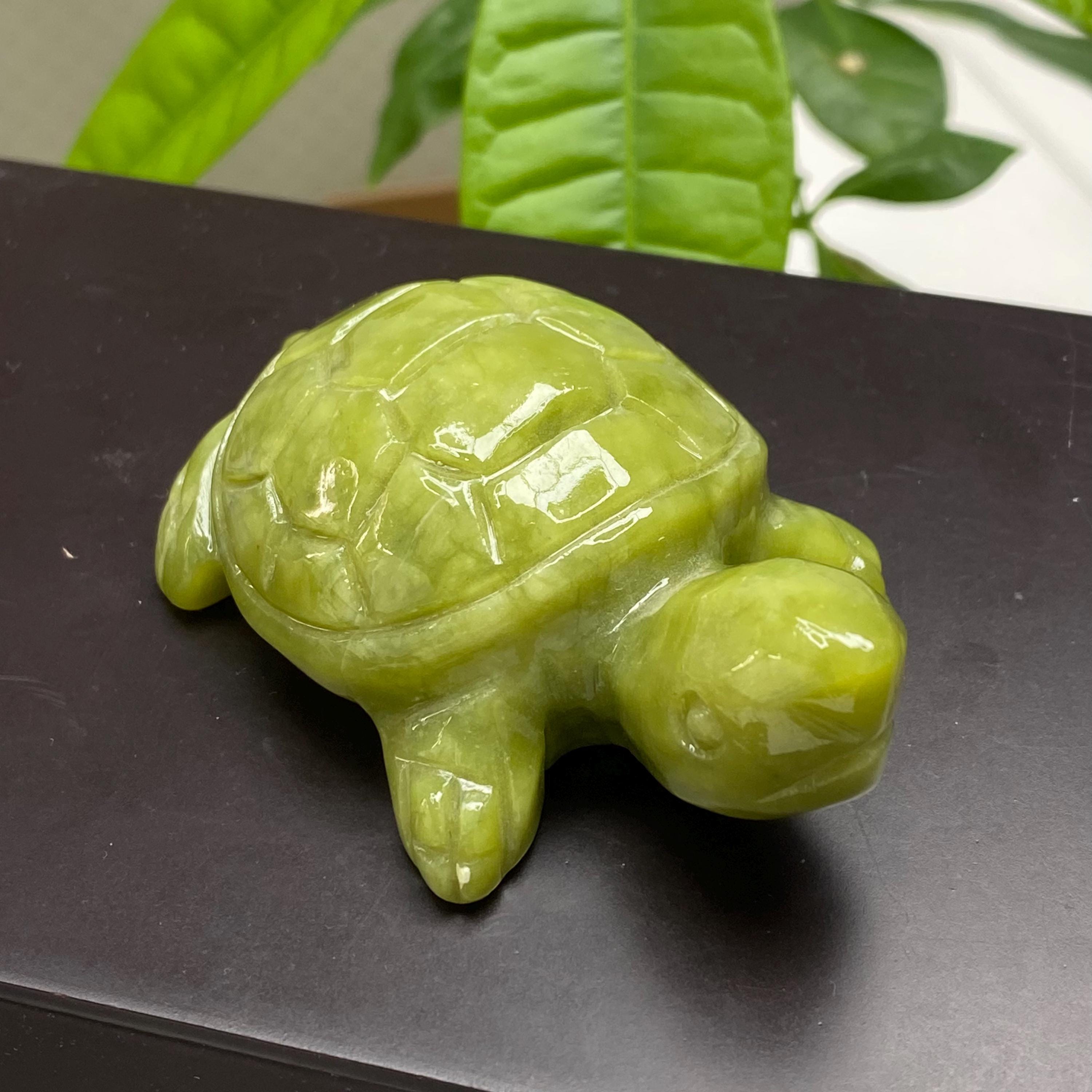 Natural Jade Turtle Sculpture Hand Carved Green Stone Longevity Symbol Desk Decor