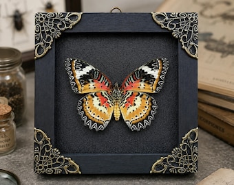 Real Framed Butterfly Art Decor, Dried Leopard Lacewing Cethosia Cyane Taxidermy, Underside View, Insect Specimen, Wall Art Hanging