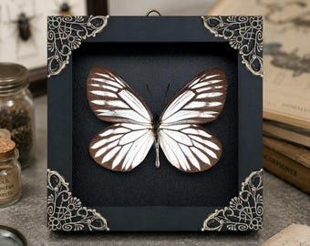 Real Butterfly Specimen Framed, Handmade Butterfly Taxidermy Shadow Box, Goth Gifts for Women, Dark Academia & Witchy Decor