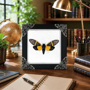 May include: A square black frame with ornate silver corner accents containing a centered illustration of a cicada with black and yellow wings. The insect has a black body and prominent yellow markings on its wings against a white background.