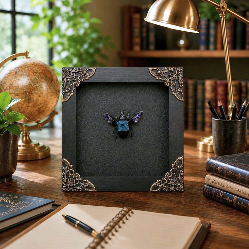 May include: A square black wooden frame featuring ornate gold-toned metal corner accents and a dark textured background. Centered within the frame is a preserved beetle with a metallic blue body and dark wings, displayed as a specimen.