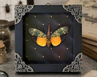 Framed Real Red Horn Lanternfly Bug Specimen, Pyrops Candelaria Shadow Box, Gold Dot Rhombus Pattern, Gothic Wall Art, Curious Oddities Gift