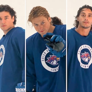 Op de afbeelding: Een blauw sportshirt met lange mouwen en een rond wit logo op de borst met de tekst Briar University Hawks en een afbeelding van een valkenkop. Het shirt wordt gedragen door personen in een sportomgeving, waarvan één met een blauwe ijshockeyhandschoen.