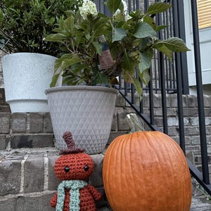 May include: A small, rust-colored crochet pumpkin doll with a brown stem, black button eyes, and a light green scarf, positioned next to a large, round, orange pumpkin with a green stem, set against a backdrop of potted green plants.