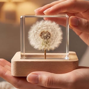 Lámpara de noche personalizada con forma de diente de león, regalo para ella, lámpara con flores preservadas, regalo de aniversario, regalo para hermana, recuerdo personalizado para la decoración del hogar.