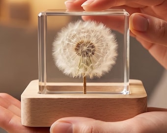 Personalized Dandelion Night Light Gift for Her, Preserved Flower Lamp, Anniversary Gift, Sister Gift, Custom Home Decor Keepsake