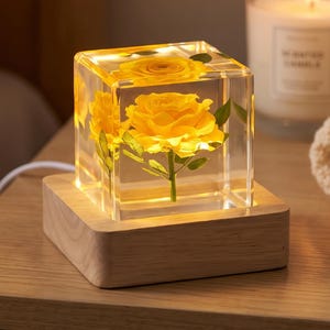 May include: A clear resin cube containing a preserved yellow rose with green leaves, illuminated from within. The cube rests on a light-coloured wooden base with a white power cord extending from the back, creating a glowing decorative display piece.