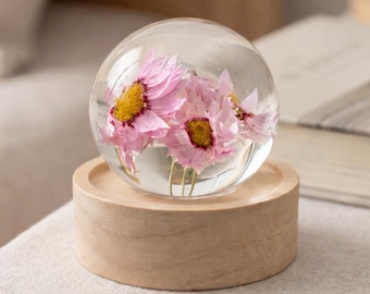 Personalized Rhodanthe Resin Flower Ball, Pink Everlasting Daisy Night Light, Custom Engraved Gift for Mom, Real Flower Sphere Decor