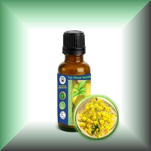 Asafoetida Essential Oil - 100% Pure Ferula Assa-Foetida