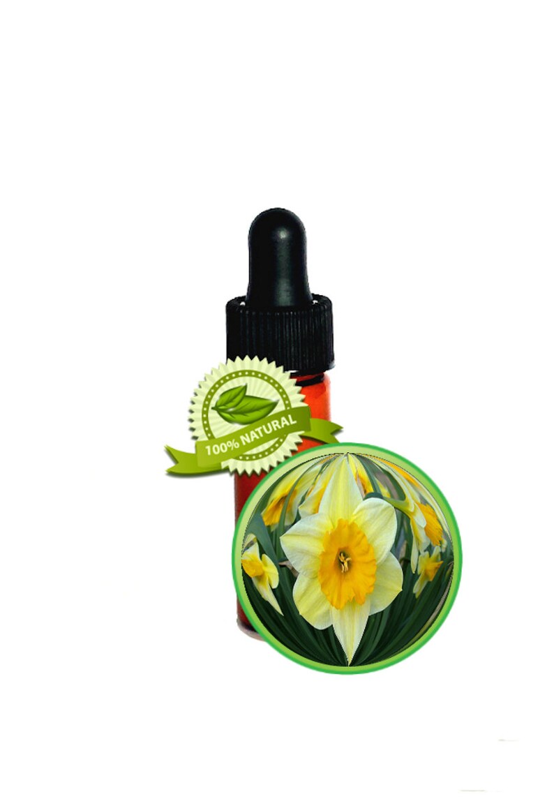 Narcissus Daffodil Poeticus Essential Oil 100 Pure Etsy