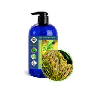 Carrot Seed Oil - Virgin, Cold-pressed