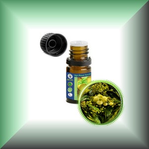 Mimosa Absolute Oil Acacia Mearnsii 5ml (1/6oz)