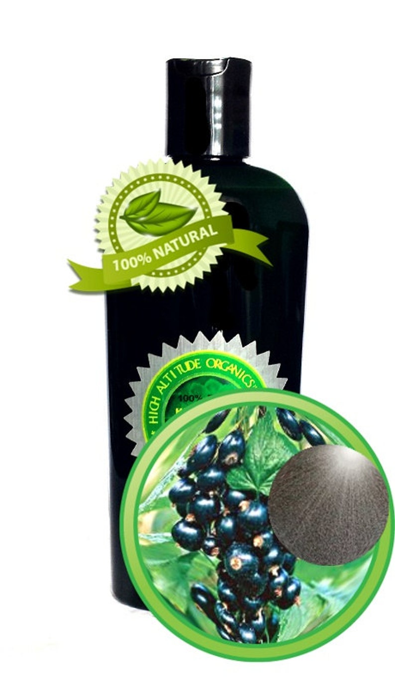 Black Currant Seed Oil 100 PURE Natural Cold Pressed Etsy