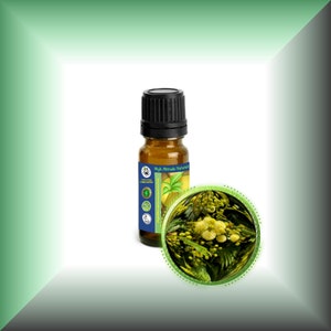 Mimosa Absolute Oil Acacia Mearnsii 10ml (1/3oz)