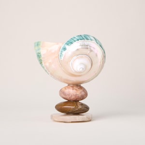 Peut inclure: Un objet décoratif composé d'un grand coquillage en spirale irisé aux tons verts et nacrés, équilibré sur une pile verticale de trois pierres lisses et polies dans des nuances de rose, de brun et de crème, reposant sur une base circulaire.