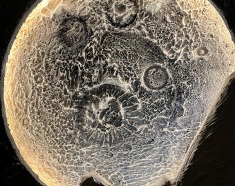 3D LED Moon Wall Lamp – Handmade Lamp – Customize Size and Light – Premium Decor