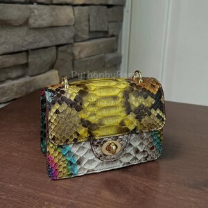 Peut inclure: Petit sac à main rectangulaire avec fermoir doré et bandoulière chaîne. Le sac est en peau de serpent dans les tons jaune, marron et arc-en-ciel. Le sac est posé sur une surface en bois.
