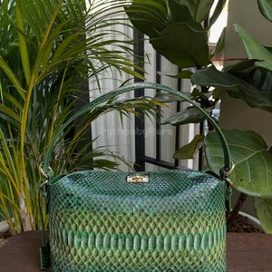 May include: A green handbag with a snakeskin pattern. The bag has a rectangular shape with a curved handle and a gold-colored clasp. The bag is sitting on a wooden surface, with green plants in the background.