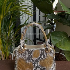 May include: A square-shaped handbag with a snakeskin pattern in shades of brown, gray, and white. The bag has a white interior, gold-colored hardware, and a top handle. The bag is set against a backdrop of green plants.